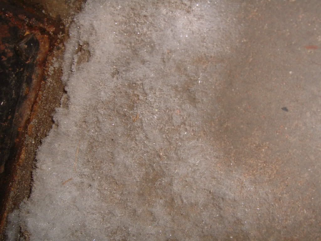 What causes white mold on a basement floor?