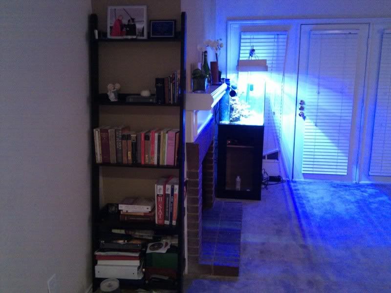 From the Front Door