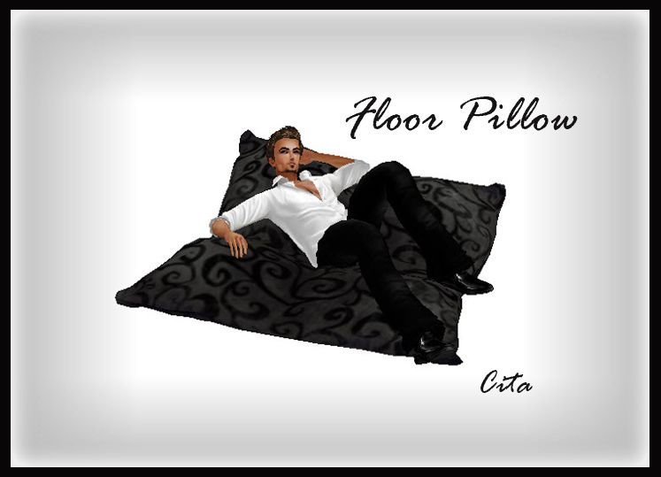 Floor Pillow 2 photo 3-15-201410-28-04AM_FLOOR_PILLOW_2a_zps9fb48180.jpg