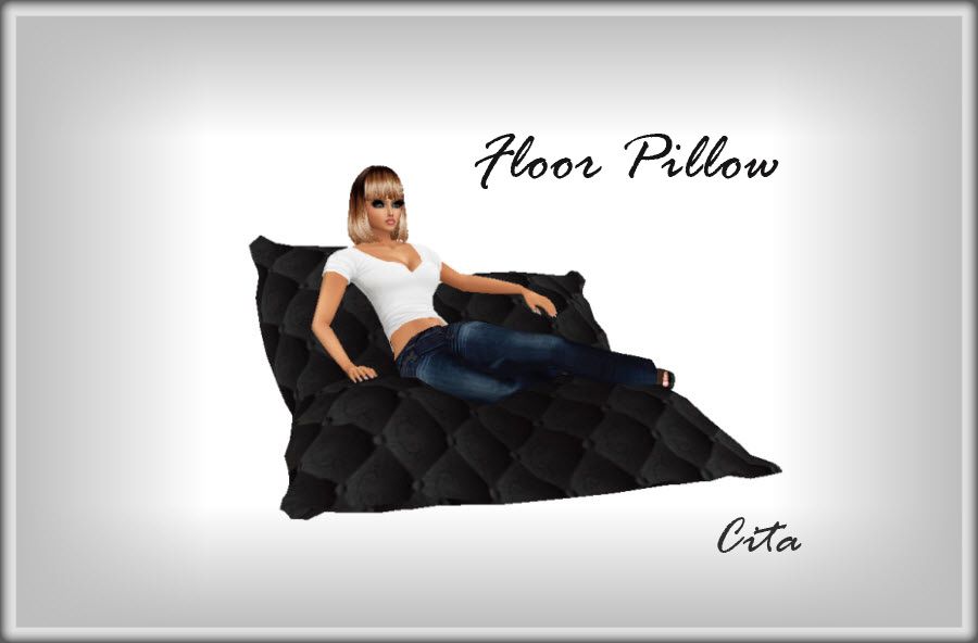 Floor Pillow 1 photo 3-15-20149-01-32AM_FloorPillowa_zps3520ca1d.jpg