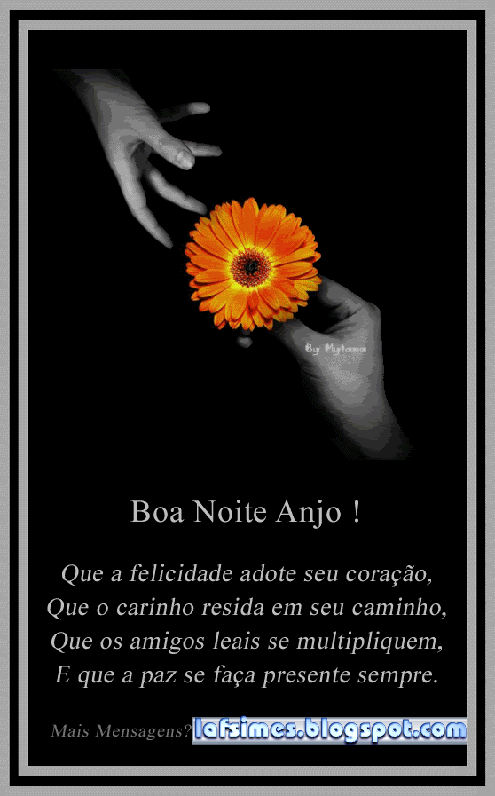 Boa Noite37 Pictures, Images and Photos