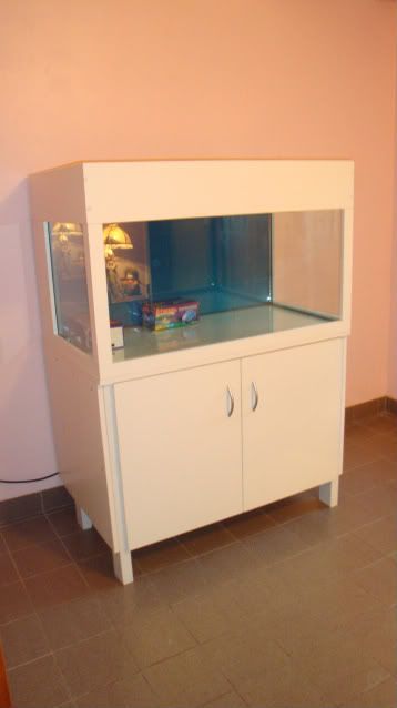 Mesa de mi acuario