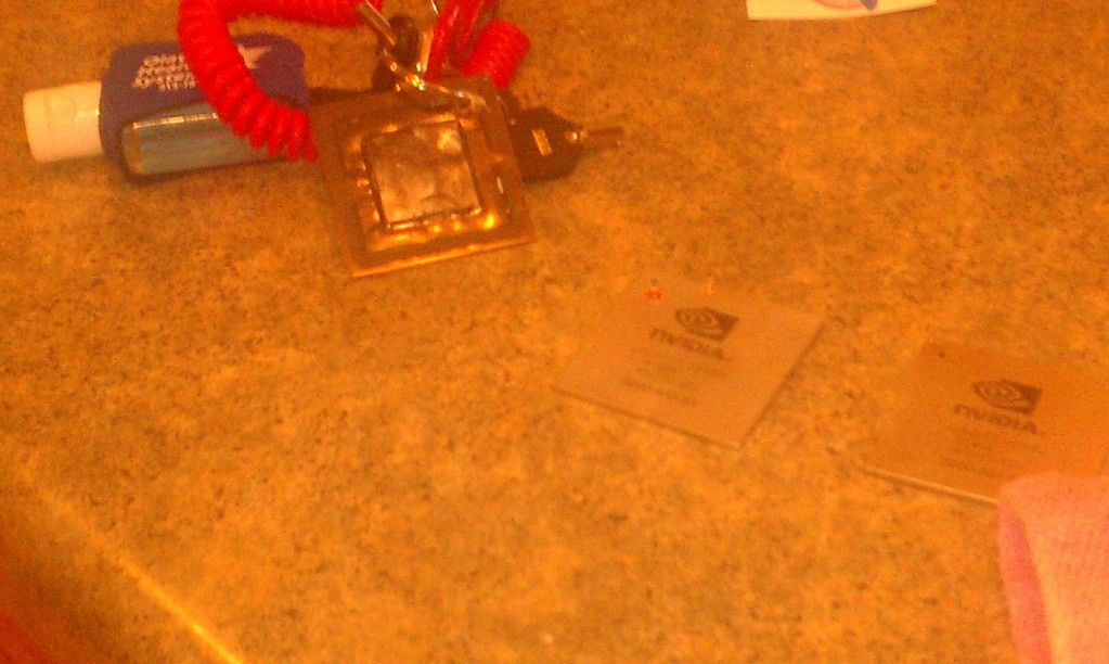 IMAG0253.jpg