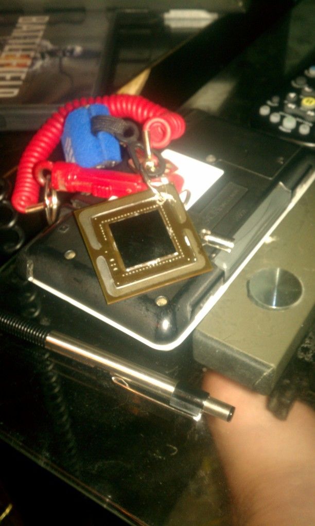 IMAG0254.jpg