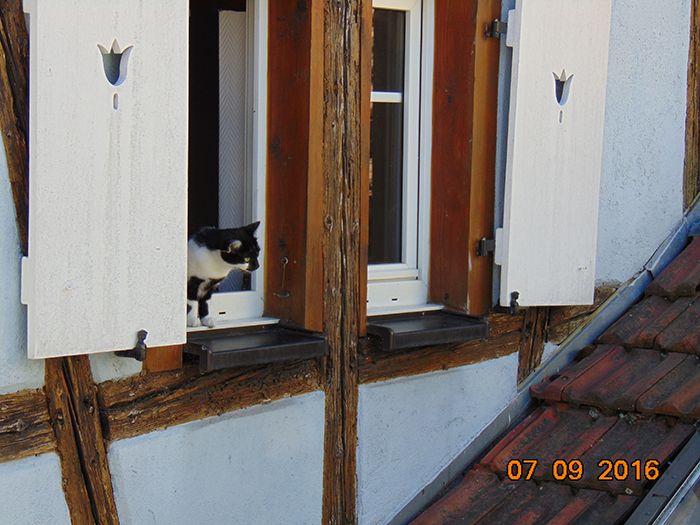 photo DSC00266_zpsewrduyon.jpg