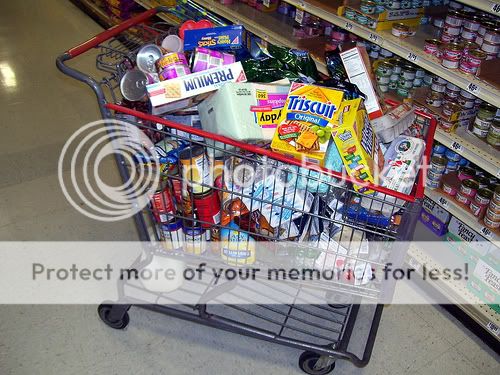 grocerycart.jpg