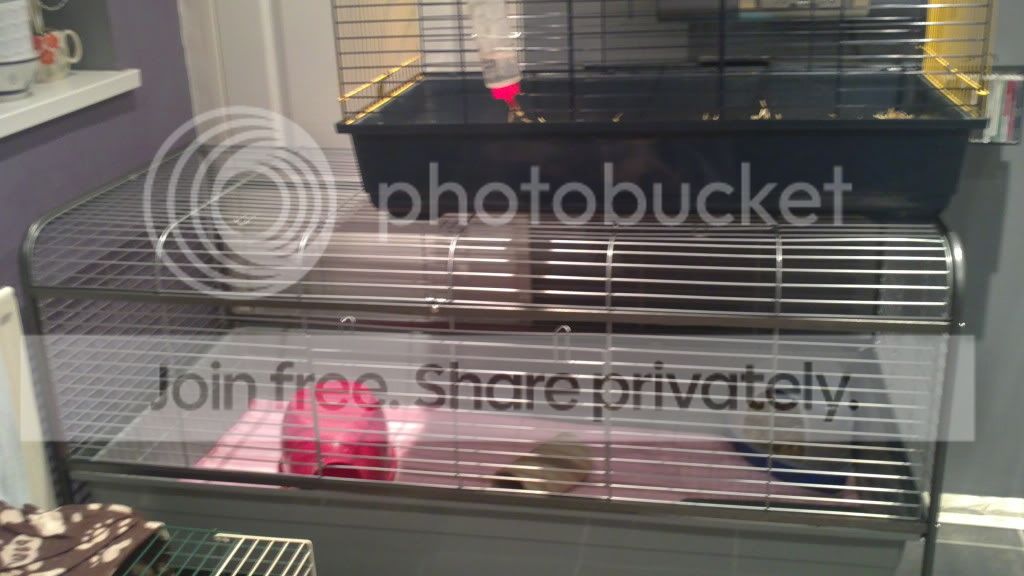 01022011238.jpg
