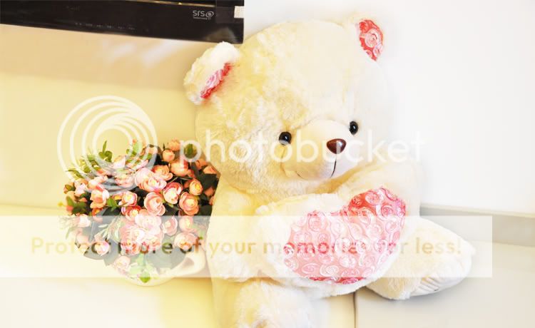 60CM Giant Rose Love Heart Plush Teddy Bear Present For Children’s 